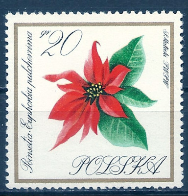 1966 r. Luzak Fi 1549**.