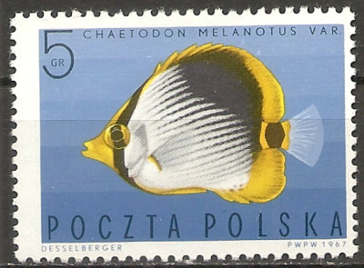 1967 r. Luzak Fi 1600**.