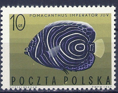 1967 r. Luzak Fi 1601**.