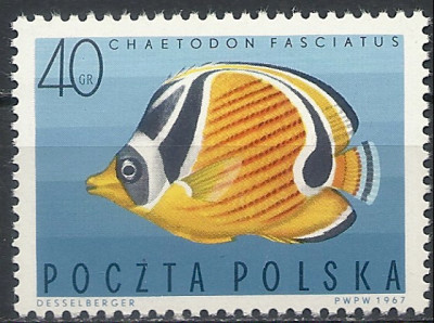 1967 r. Luzak Fi 1602**.