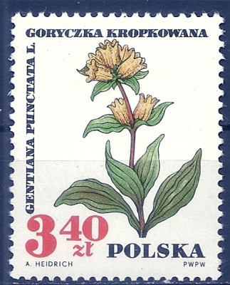 1967 r. Luzak Fi 1625**.