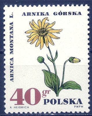 1967 r. Luzak Fi 1623**.