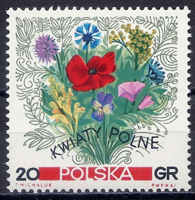 1967 r. Luzak Fi 1634**.