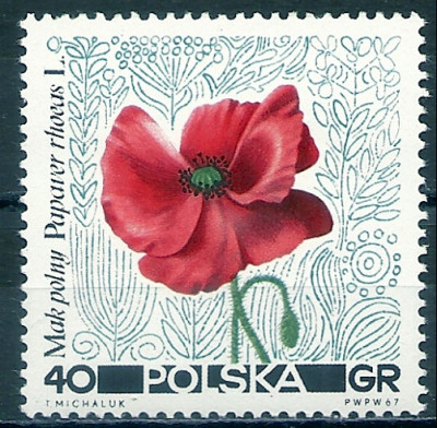 1967 r. Luzak Fi 1635**.