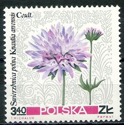 1967 r. Luzak Fi 1640**.