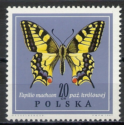 1967 r. Luzak Fi 1651**.