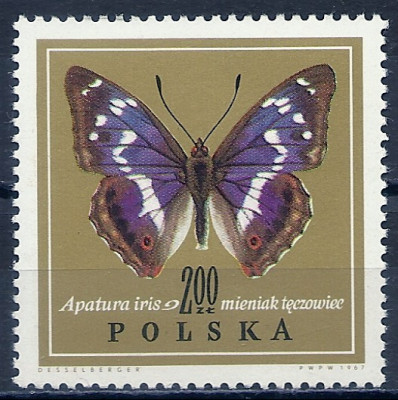 1967 r. Luzak Fi 1654**.