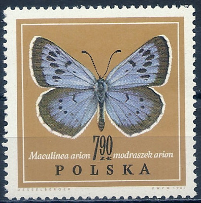 1967 r. Luzak Fi 1658**.