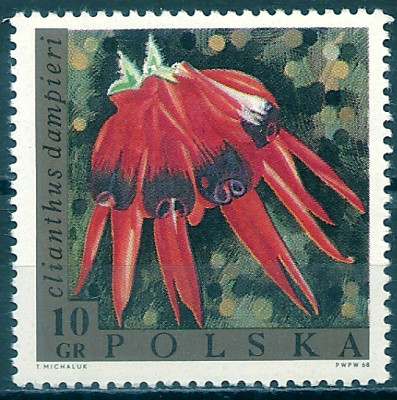 1968 r. Luzak Fi 1689**.