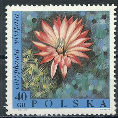 1968 r. Luzak Fi 1692**.