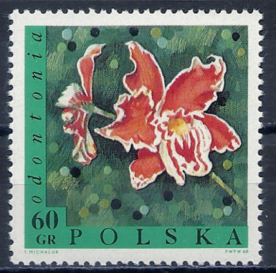 1968 r. Luzak Fi 1693**.