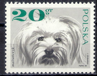 1969 r. Luzak Fi 1751**.