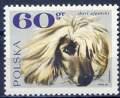 1969 r. Luzak Fi 1753**.