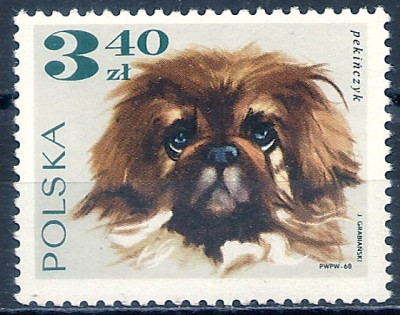 1969 r. Luzak Fi 1756**.