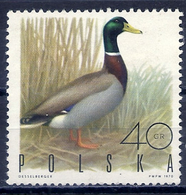 1970 r. Luzak Fi 1841**.