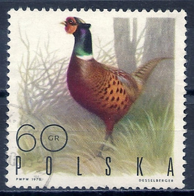 1970 r. Luzak Fi 1842**.