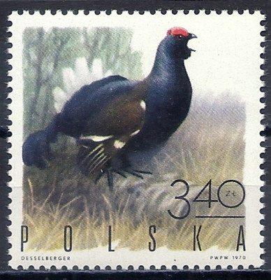 1970 r. Luzak Fi 1846**.