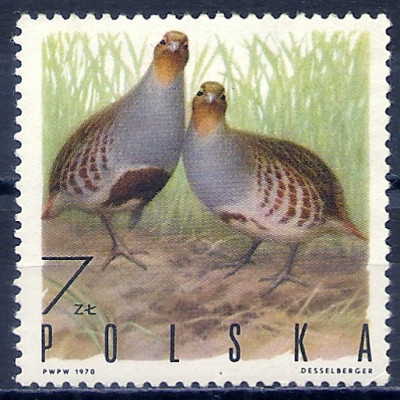 1970 r. Luzak Fi 1847**.