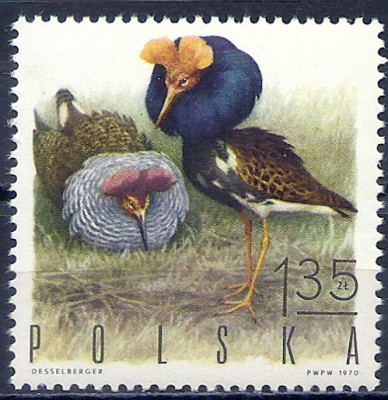 1970 r. Luzak Fi 1844**.