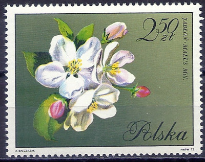 1971 r. Luzak Fi 1991**.