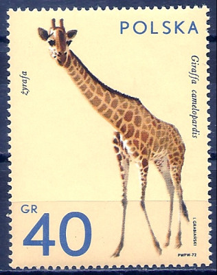 1972 r. Luzak Fi 2016**.