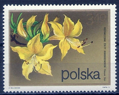 1972 r. Luzak Fi 2072**.