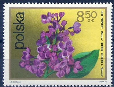 1972 r. Luzak Fi 2074**.