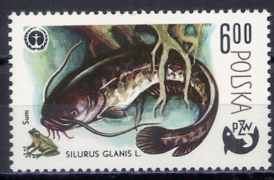 1979 r. Luzak Fi 2477**