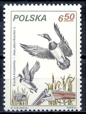 1981 r. Luzak Fi 2607**