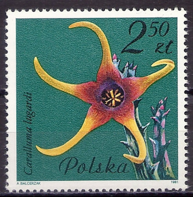 1981 r. Luzak Fi 2640**