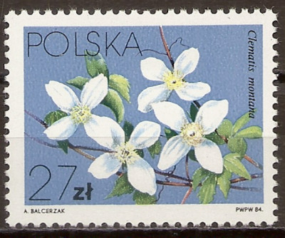 1984 r. Luzak Fi 2763**.