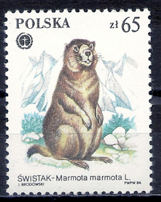 1984 r. Luzak Fi 2801**.