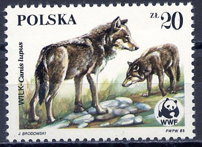 1985 r. Luzak Fi 2830**.