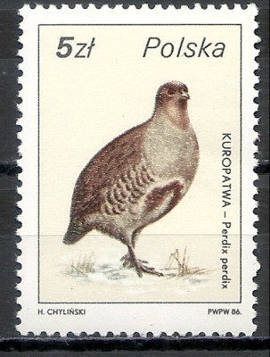 1986 r. Luzak Fi 2871**.