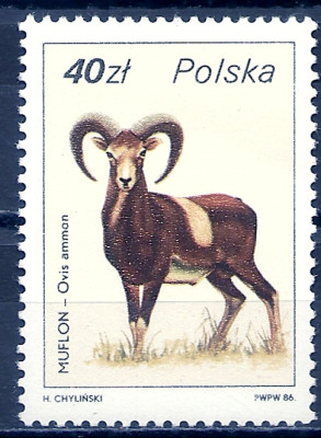 1986 r. Luzak Fi 2876**.