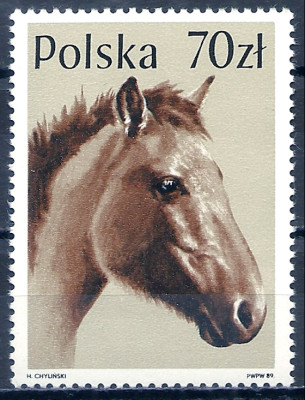 1989 r. Luzak Fi 3047**.