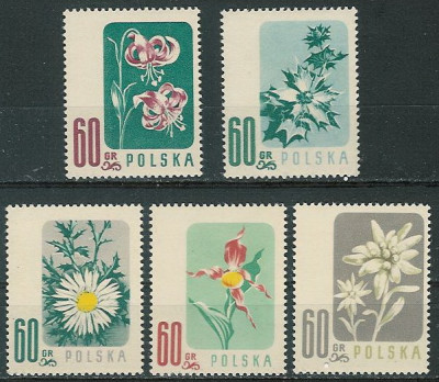 ZC  876-80 : Kwiaty chronione