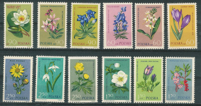 ZC 1177-88 : Rośliny chronione