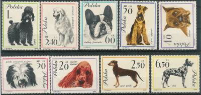 ZC 1226-34 : Rasy ps&oacute;w