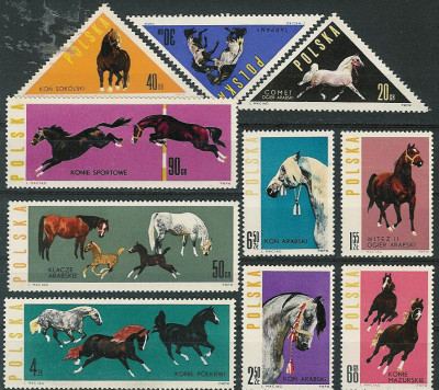 ZC 1299-08 : Konie polskie