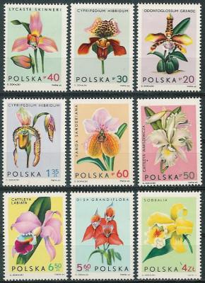 ZC 1463-71 : Storczyki