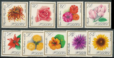 ZC 1548-56 : Kwiaty ogrodowe