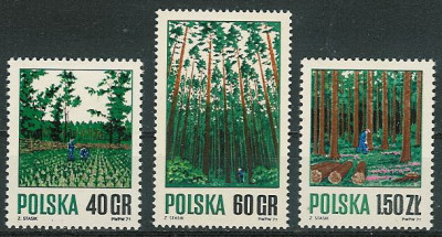 ZC 1920-22 : Gospodarka leśna