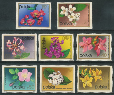 ZC 2067-74 : Kwiaty krzew&oacute;w