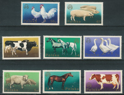 ZC 2231-38 : Federacja Zootechniczna