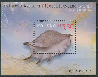 blok 158 B : ŚWF Sydney