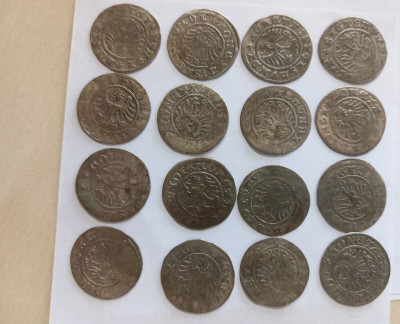 16 szt. p&oacute;łgrosz Zygmunta Starego