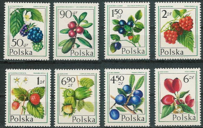 ZC 2340-47 : Owoce leśne