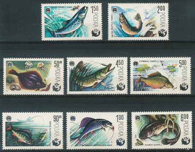 ZC 2470-77 : 100 lat wędkarstwa