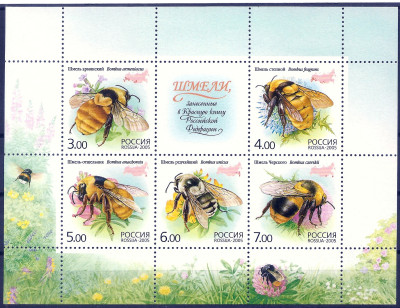 2005 Rosja Ark 1260 - 1264**